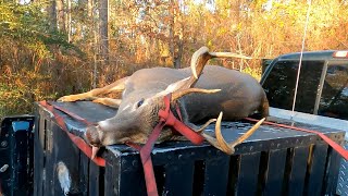 (Deer Hunting With Dogs 20232024 Season) THE HOUNDS ROLL A 6 POINT TO THE GUN BARREL!!!