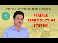 Female reproductive system, part 1, veterinary physiology