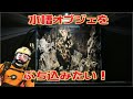 水槽オブジェがメインアクアリウム立ち上げ1/2