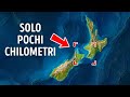 Perché non si può guidare tra le isole della Nuova Zelanda