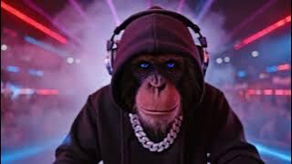 Mast ayladi / DJ Maymun (club version)