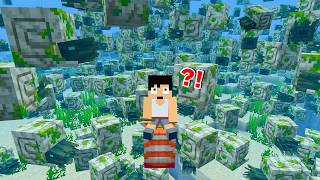 【爆湧き】10,000体のゾンビオウムガイから世界を守れ!!【マイクラリレー2025】