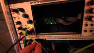 Mutable instruments Grids & DIY Bongos and Delay