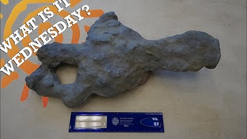 What is it Wednesday!? Concretion