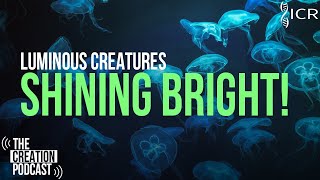 How Do Creatures Produce Living Light? | The Creation Podcast: Episode 24