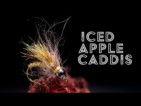 How to Tie the Iced Apple Caddis fly tying video