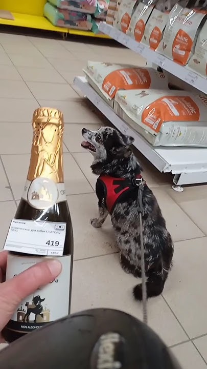 Кто не рискует - тот не пьёт шампанское 🍾 Так что выход на лëд уже ...