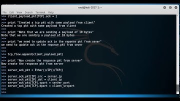 Create complete tcp flow of packets using scapy - part4