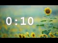 30 Second Timer Calm Music 