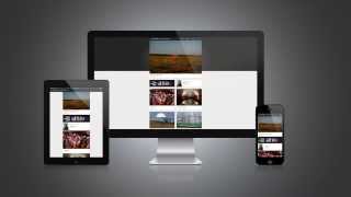 Photojournalism reimagined for every screen -- Reuters the Wider Image screenshot 2
