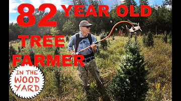 Trimming Christmas Trees with a 82 year old Tree Farmer! - #444