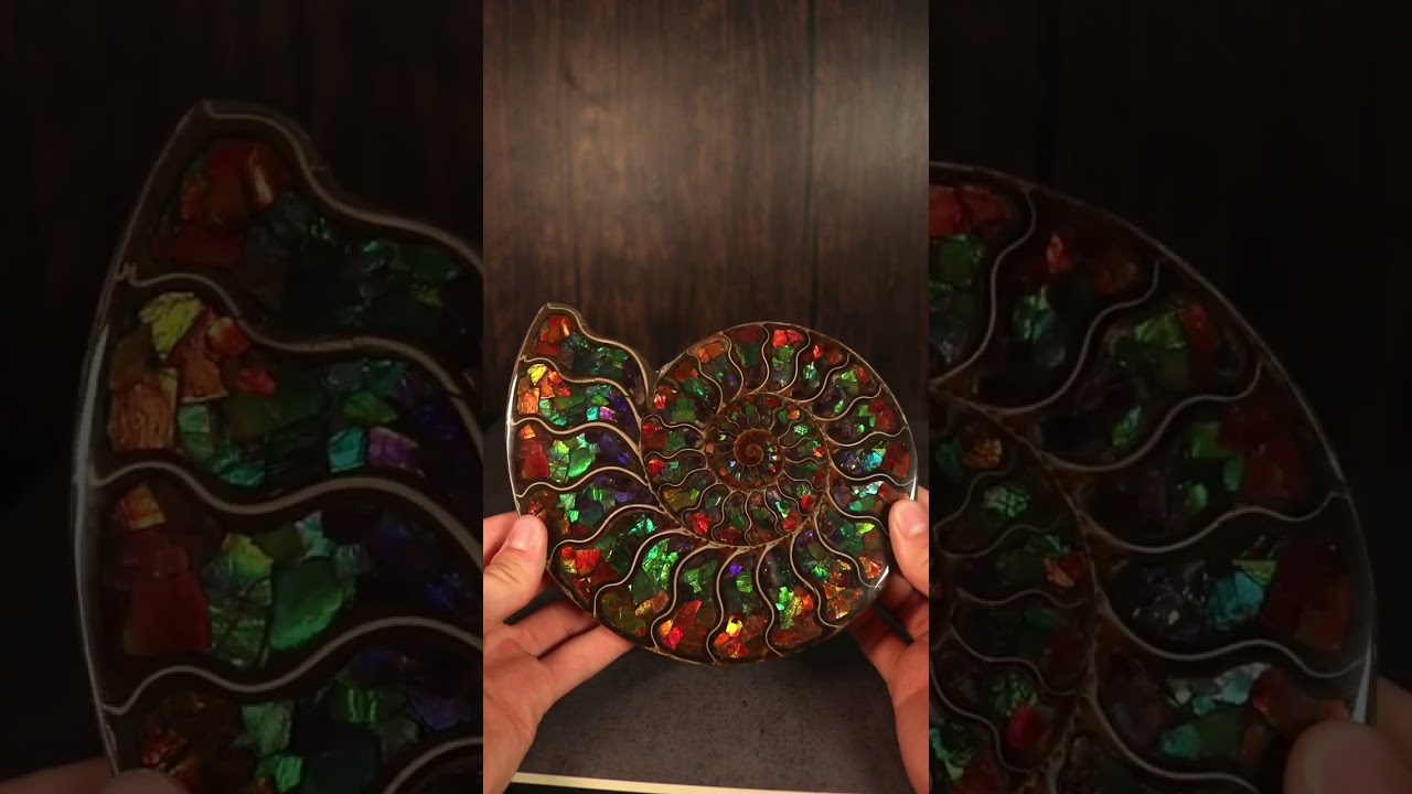 Look at it shine! 🪩 ✨️