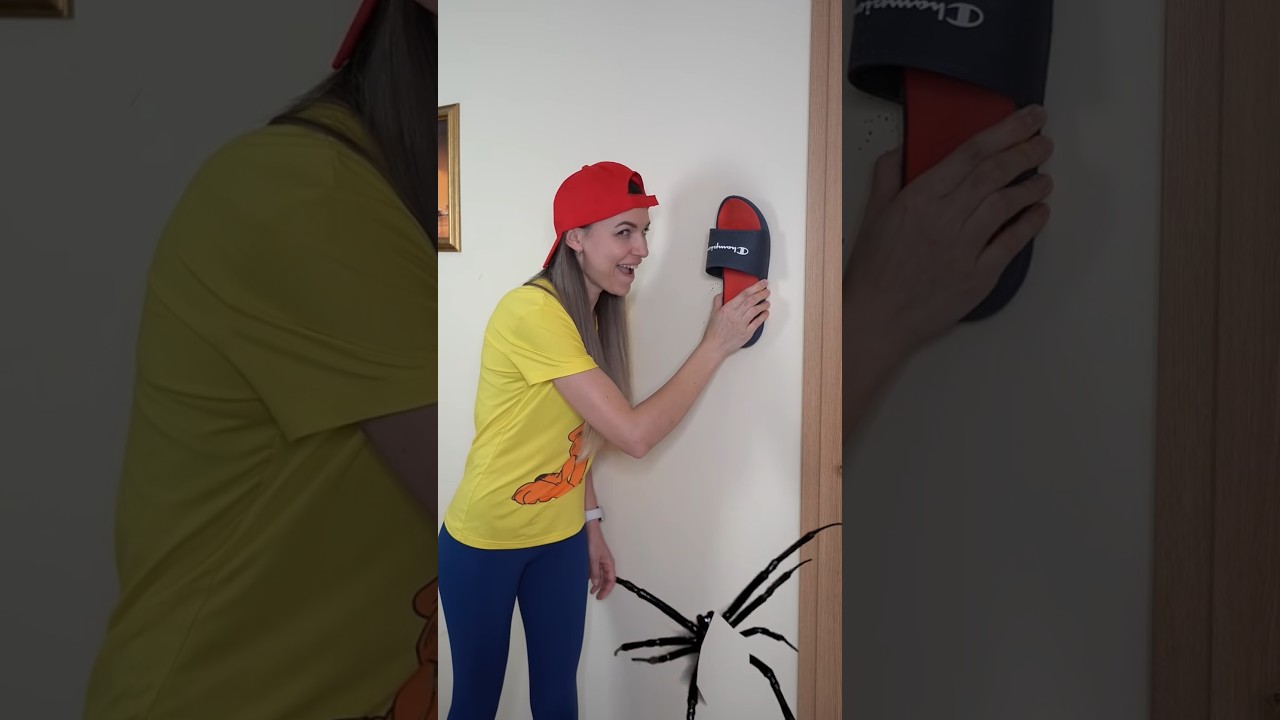 OMG Super Giant SPIDER inroom