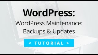 WordPress Maintenance Tutorial: Plugin Updates and backups using Backup Buddy