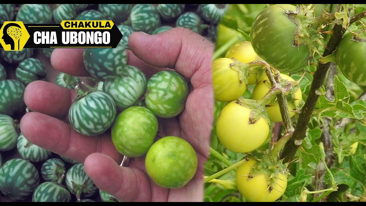 DAWA YA KUMFANYA MTU AKUPENDE & AKUWAZE SANA.