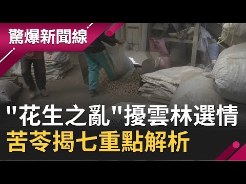 2020大选 台湾民主,价值兢,囤家意识,候选人水准 投票率 低落系列