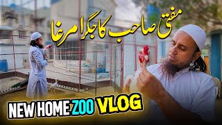 Mufti Tariq Masood Home Zoo Vlog Part -1