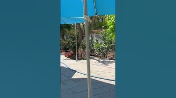 Định Cư Chỗ Khác Nên Buộc Phải Bán Nhà Vườn Nghỉ Dưỡng Đầy Tâm Huyết Của Mình #shorts