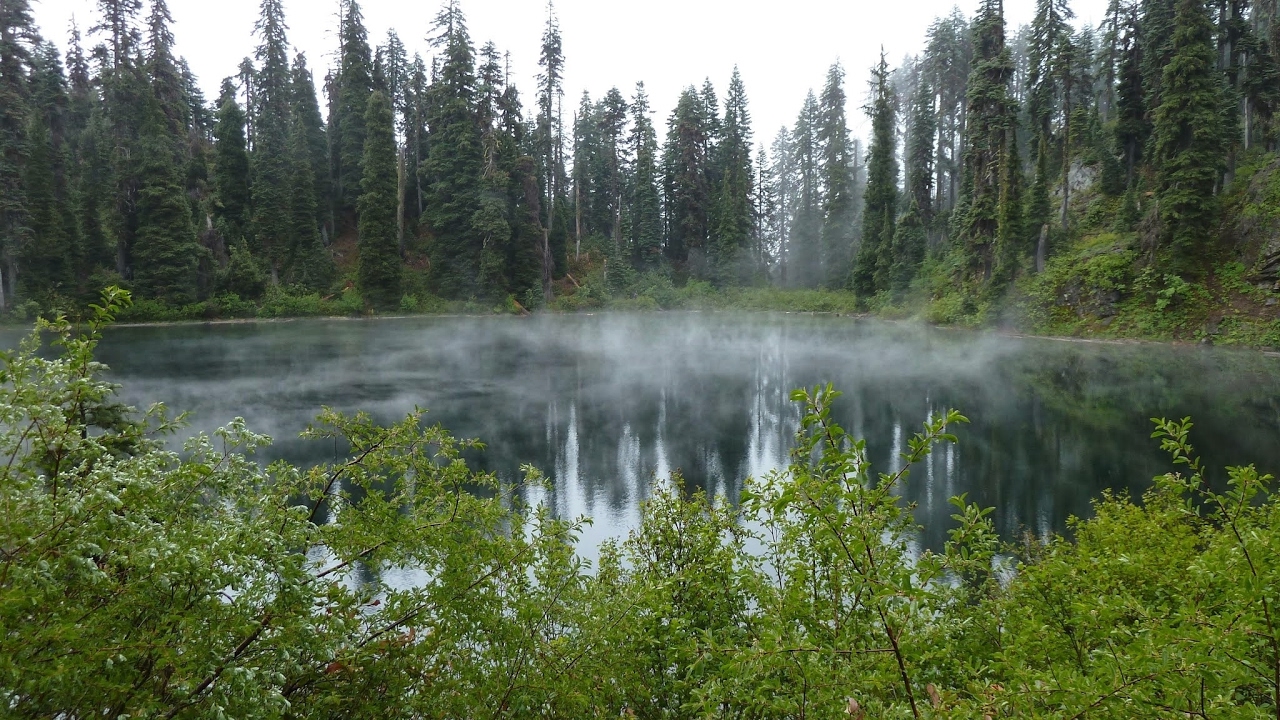 YTWilson's Live PS4 Broadcast