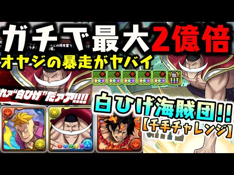 白ひげ パズドラも 壊す 最大2億倍のリダスキww 超絶火力 白ひげ海賊団 で千手チャレンジ ワンピースコラボ ダックス パズドラ実況 Youtube