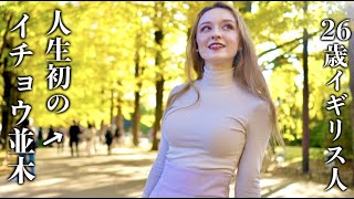 The Most Beautiful Autumn Colours In Japan? | Ginkgo Trees in Showa Park, Tokyo by Meru Chan 101,518 views 5 months ago 11 minutes, 15 seconds