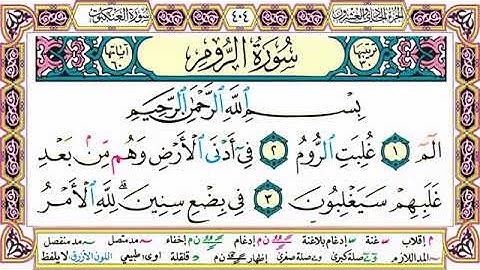 القرآن الكريم مقسم إلى أجزاء ｜ الجزء 21 مكتوب ｜ مقسم صفحات ｜ الشيخ حاتم فريد ｜ مصحف التجويد الملون