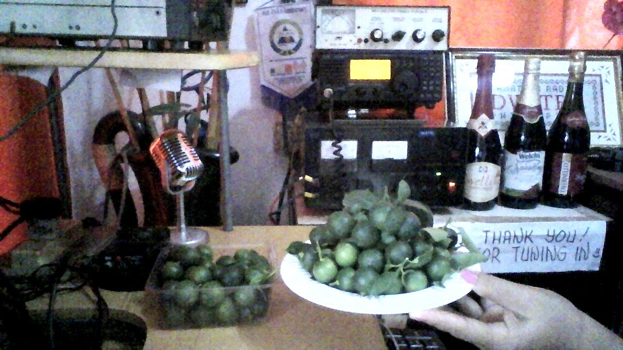 Tuesday Con Calamansi | Ham Net PHILIPPINES