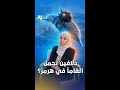 إيران تدرس استخدام دلافين ملغ مة في مضيق هرمز