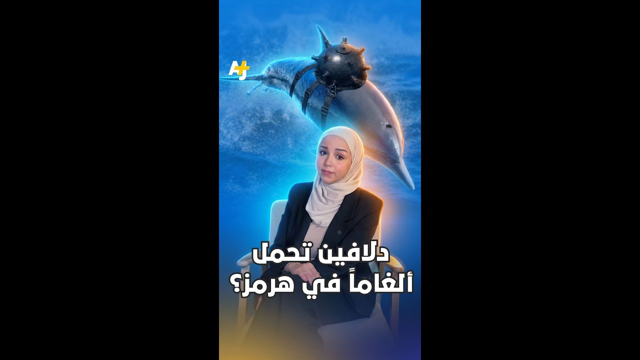 إيران تدرس استخدام دلافين ملغَّمة في مضيق هرمز