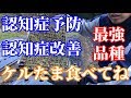 通常の1.5倍のケルセチンを持つ玉ねぎはこの品種！　認知症予防　認知症改善　認知症食事