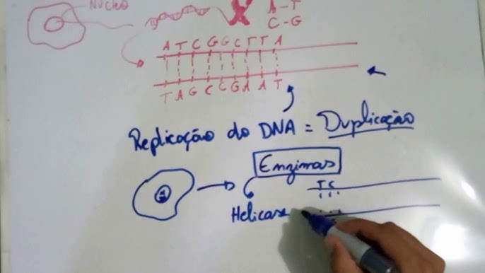 Mapas Mentais sobre DUPLICAÇÃO DO DNA - Study Maps  Duplicação do dna,  Replicação do dna, Transcrição e tradução