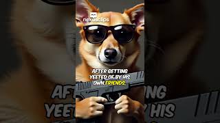 ranking things gets weird fast #rankings #absurd #comedy