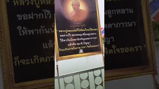 ไฮไลต์ของไลฟ์สด