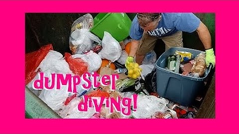 FANTASTIC DUMPSTER DIVE ~ ALDI AND CVS! #extremefrugality #freeganism #cheapskate #freefood