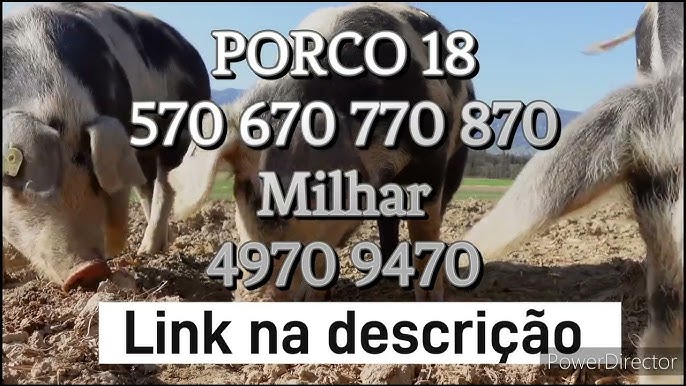 ▷ Sonhar Com Cavalo - É Sorte No Jogo Do Bicho? 