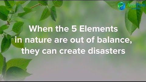 The Insulting Sequence in the 5 Elements Theory