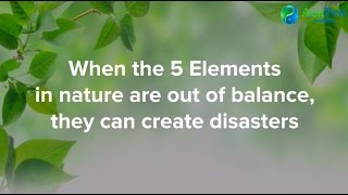 The Insulting Sequence in the 5 Elements Theory