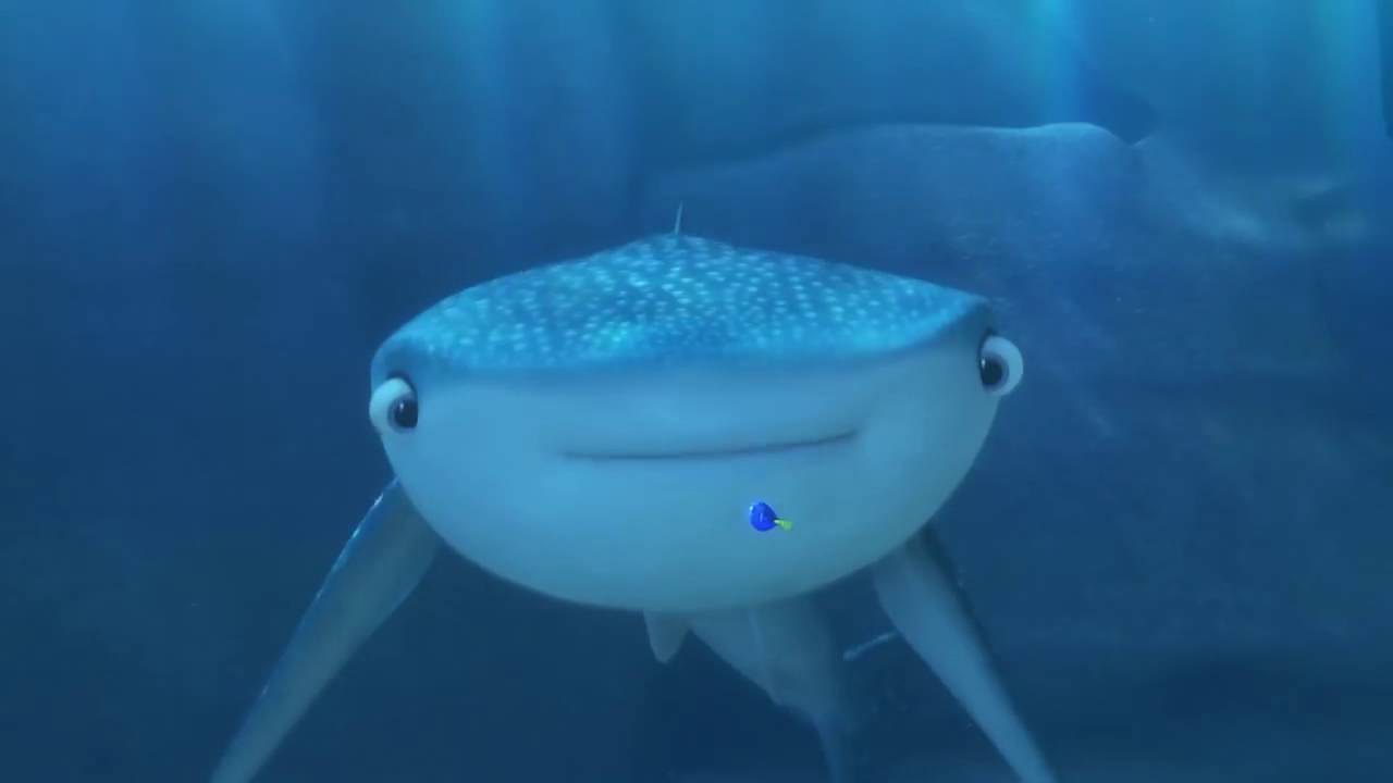 Procurando Dory - Trailer Oficial Dublado - YouTube