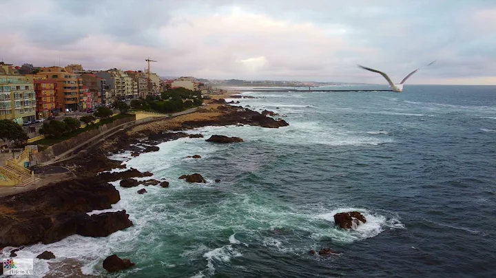 Bird Chased and Attacked Drone - Seagull Attack Drone in Portugal ❤️ 4K drone video