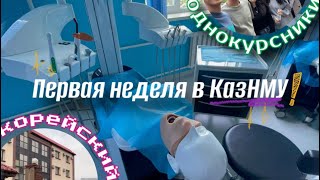 картинка: ПЕРВАЯ НЕДЕЛЯ В КазНМУ//УЧУ КОРЕЙСКИЙ ЯЗЫК // ПЕРВАЯ ВСТРЕЧА С ОДНОКУРСНИКАМИ // VLOG