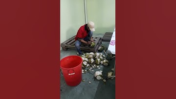 Cách chặt dừa chuyên nghiệp đẳng cấp nhanh như chớp