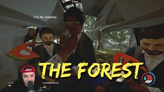 The Forest, But it's in 480p | The Forest