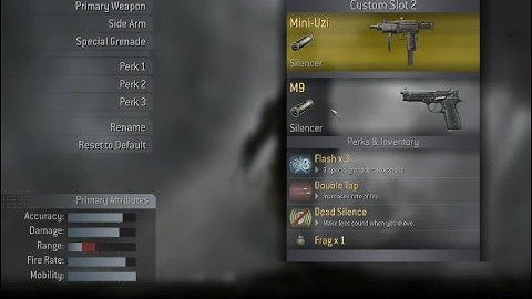 Golden Guns HACK in Call of Duty 4