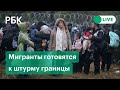 Толпы мигрантов готовятся к штурму польской границы. На КПП Брузги стягивают войска и водометы