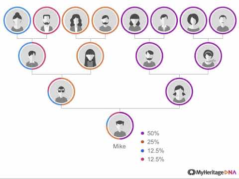 Video: Esittelyssä: NM Case Study Project