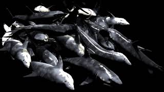 Jaws Max 3d TyFLOW