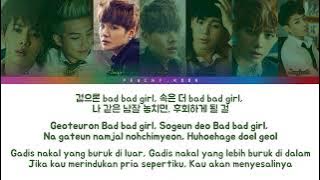 BTS (방탄소년단) - 'Boy In Luv (상남자)' Color Coded Lyrics | Lirik Terjemahan