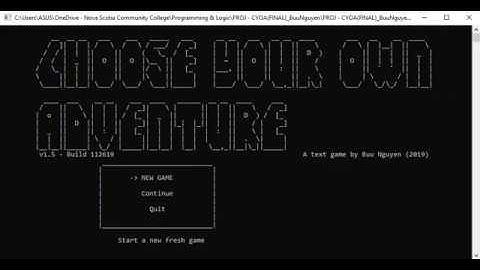 Choose Your Own Adventure text game created with C#