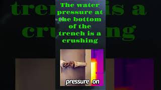 The Deepest Part In The Ocean World Challenger Deep