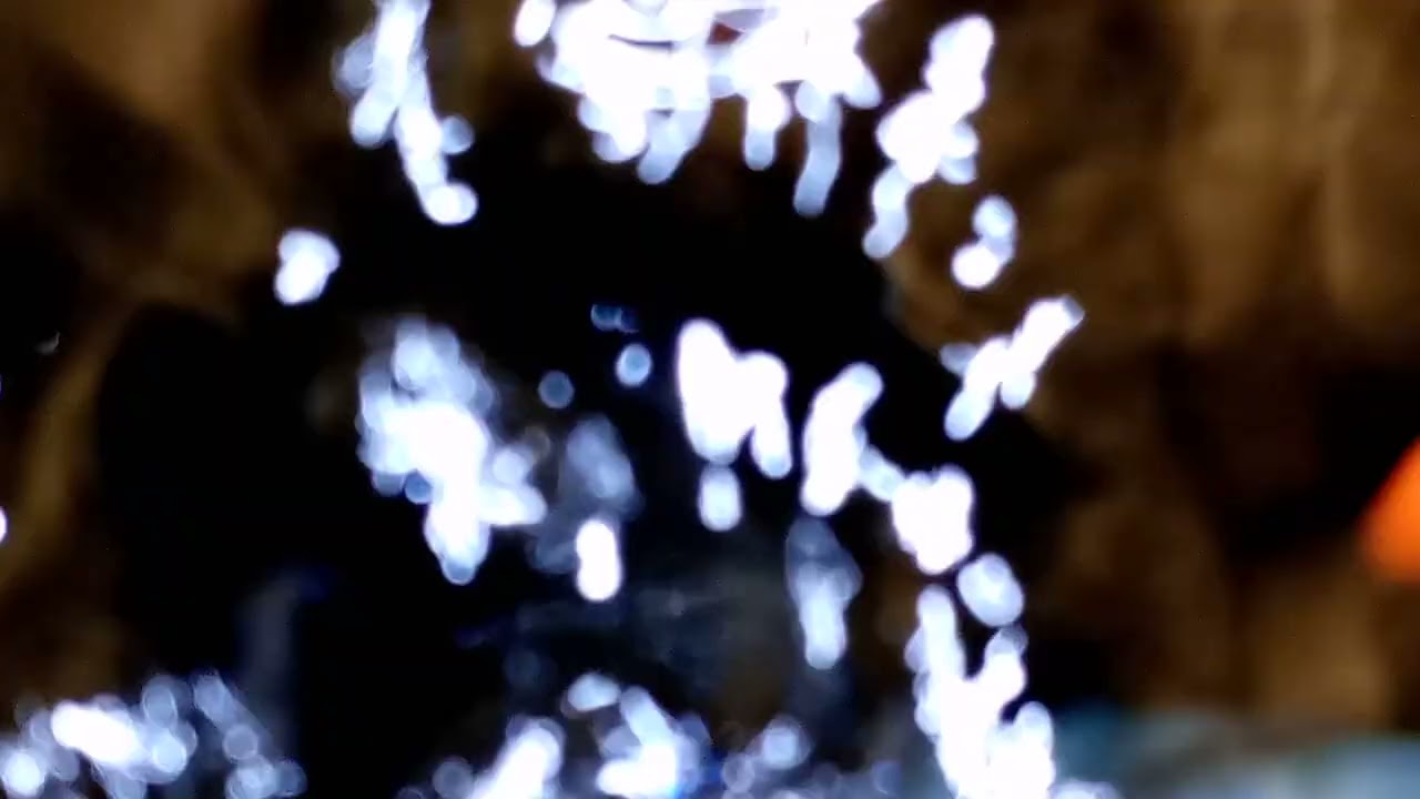 albino Koi Red ear 01534678935 - youtube